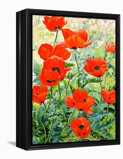 Garden Red Poppies-Christopher Ryland-Framed Premier Image Canvas