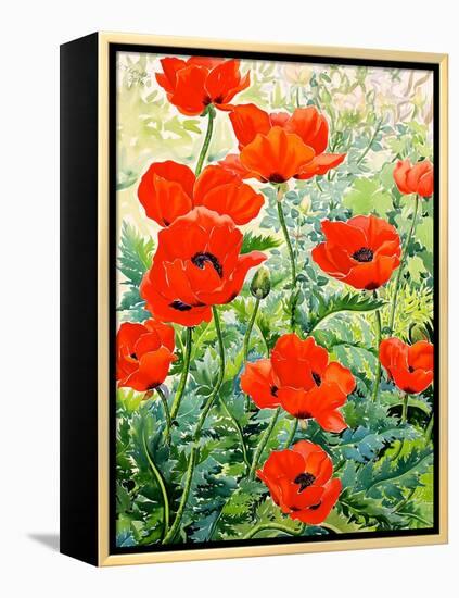 Garden Red Poppies-Christopher Ryland-Framed Premier Image Canvas