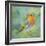 Garden Robin-Sarah Simpson-Framed Giclee Print