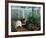 Garden Room-Diane Romanello-Framed Art Print