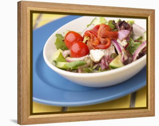 Garden Salad in a Bowl-null-Framed Premier Image Canvas