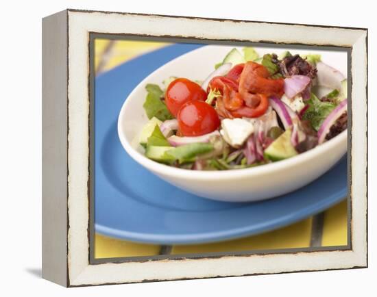 Garden Salad in a Bowl-null-Framed Premier Image Canvas