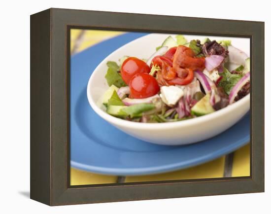 Garden Salad in a Bowl-null-Framed Premier Image Canvas