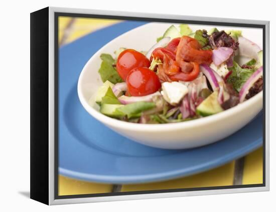 Garden Salad in a Bowl-null-Framed Premier Image Canvas