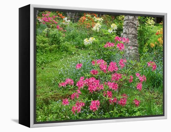 Garden Scene in New Brunswick, Canada-Ellen Anon-Framed Premier Image Canvas