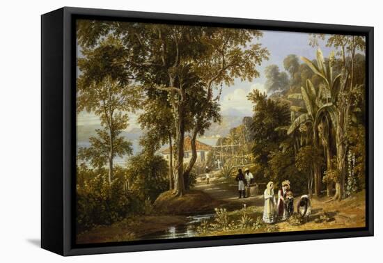 Garden Scene on the Broganza Shore, Rio de Janeiro-William Havell-Framed Premier Image Canvas