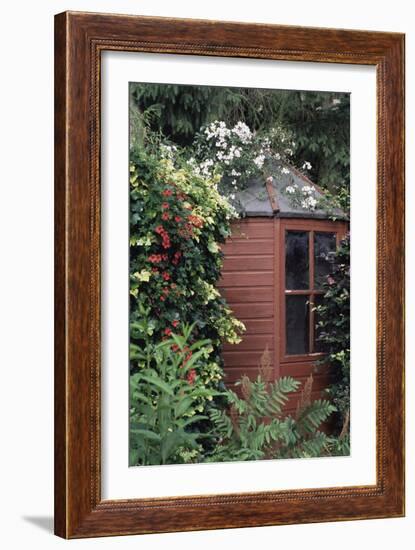 Garden Shed-Archie Young-Framed Photographic Print