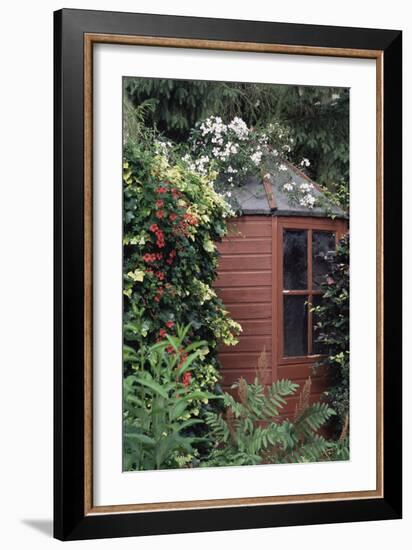 Garden Shed-Archie Young-Framed Photographic Print