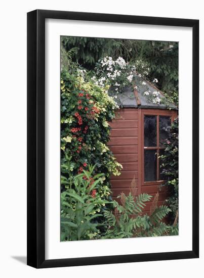 Garden Shed-Archie Young-Framed Photographic Print