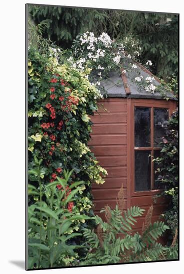 Garden Shed-Archie Young-Mounted Photographic Print