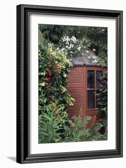 Garden Shed-Archie Young-Framed Photographic Print