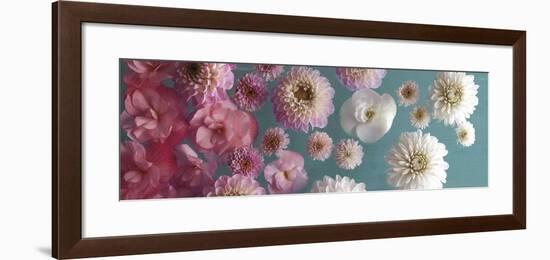 Garden Splash-Assaf Frank-Framed Art Print