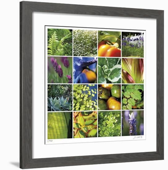 Garden Square Ensemble-Joy Doherty-Framed Giclee Print