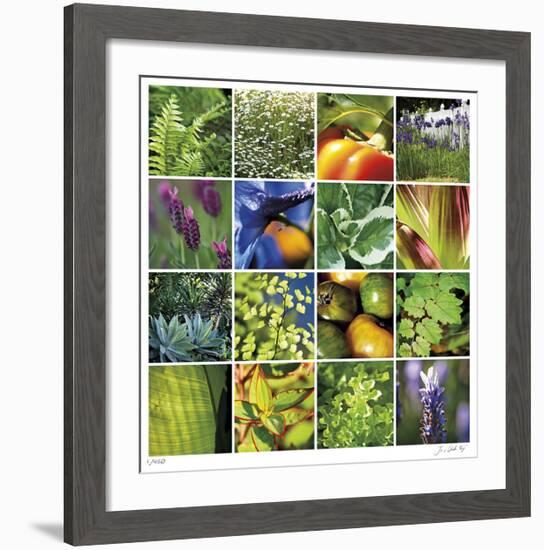 Garden Square Ensemble-Joy Doherty-Framed Giclee Print