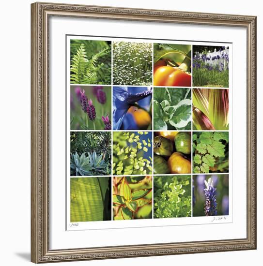 Garden Square Ensemble-Joy Doherty-Framed Giclee Print