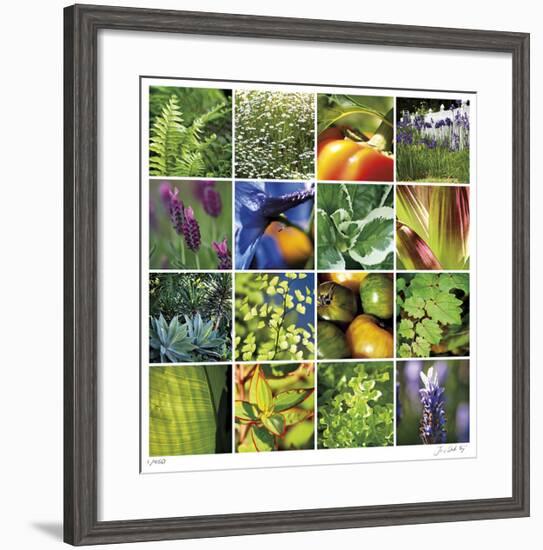 Garden Square Ensemble-Joy Doherty-Framed Giclee Print