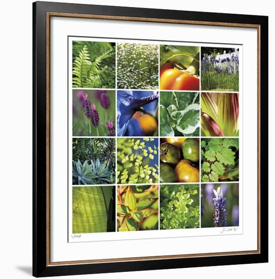 Garden Square Ensemble-Joy Doherty-Framed Giclee Print