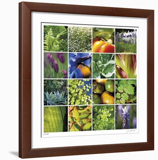 Garden Square Ensemble-Joy Doherty-Framed Giclee Print