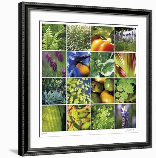 Garden Square Ensemble-Joy Doherty-Framed Giclee Print