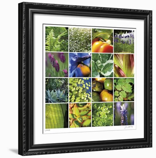 Garden Square Ensemble-Joy Doherty-Framed Giclee Print