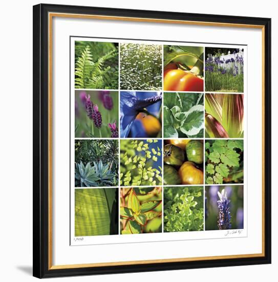 Garden Square Ensemble-Joy Doherty-Framed Giclee Print