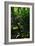 Garden Stairs II-Brian Moore-Framed Photographic Print