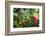 Garden State Dream Garden-George Oze-Framed Photographic Print