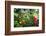 Garden State Dream Garden-George Oze-Framed Photographic Print