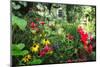 Garden State Dream Garden-George Oze-Mounted Photographic Print