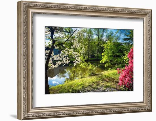 Garden State Spring At The Canal-George Oze-Framed Photographic Print