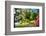 Garden State Spring At The Canal-George Oze-Framed Photographic Print