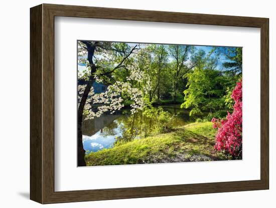 Garden State Spring At The Canal-George Oze-Framed Photographic Print