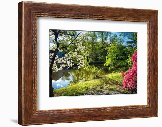 Garden State Spring At The Canal-George Oze-Framed Photographic Print