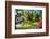 Garden State Spring At The Canal-George Oze-Framed Photographic Print