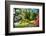 Garden State Spring At The Canal-George Oze-Framed Photographic Print