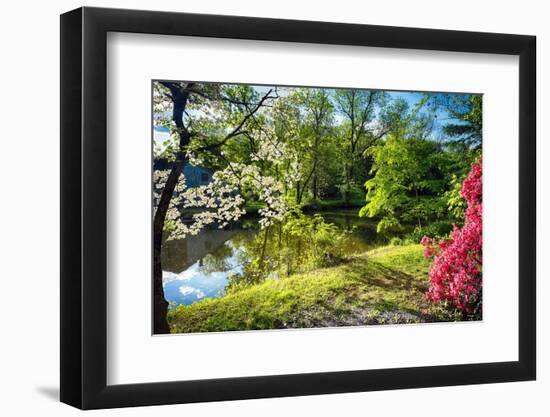 Garden State Spring At The Canal-George Oze-Framed Photographic Print