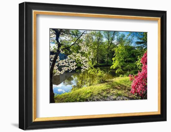 Garden State Spring At The Canal-George Oze-Framed Photographic Print