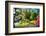 Garden State Spring At The Canal-George Oze-Framed Photographic Print