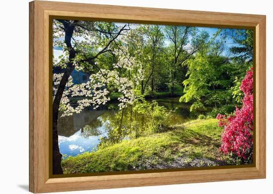 Garden State Spring At The Canal-George Oze-Framed Premier Image Canvas