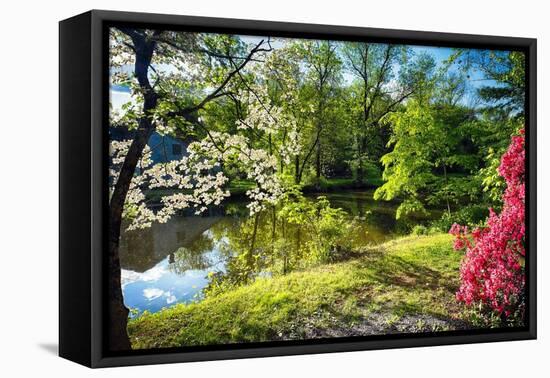 Garden State Spring At The Canal-George Oze-Framed Premier Image Canvas