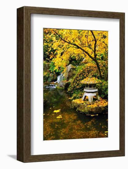 Garden Structure in Fall-neelsky-Framed Photographic Print