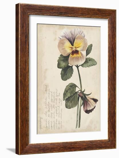 Garden Studies I-Grace Popp-Framed Art Print