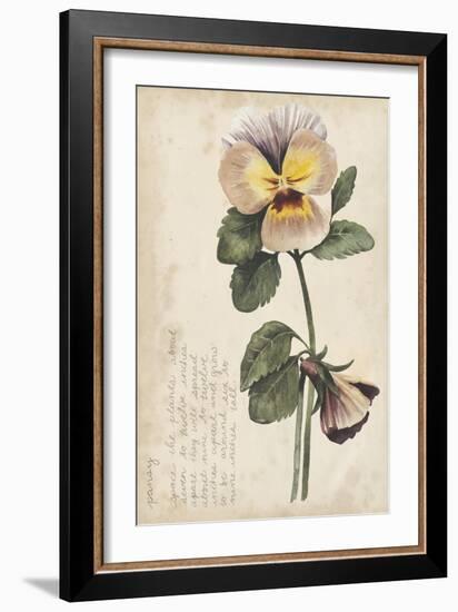 Garden Studies I-Grace Popp-Framed Art Print