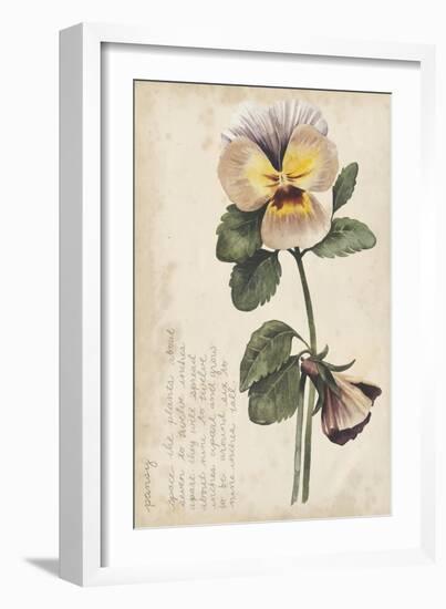 Garden Studies I-Grace Popp-Framed Art Print