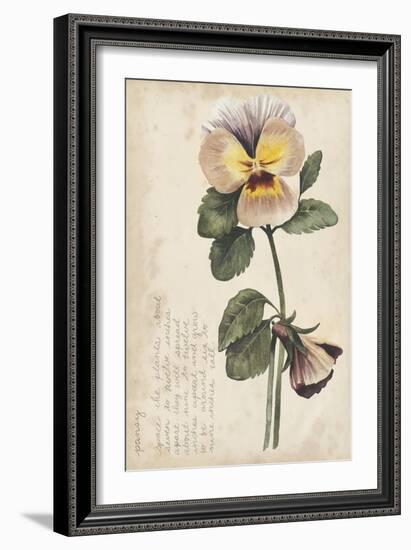 Garden Studies I-Grace Popp-Framed Art Print