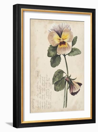 Garden Studies I-Grace Popp-Framed Art Print