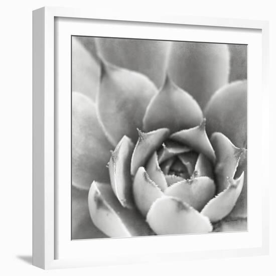 Garden Succulent III-Laura Marshall-Framed Photo