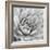 Garden Succulent IV-Laura Marshall-Framed Photo