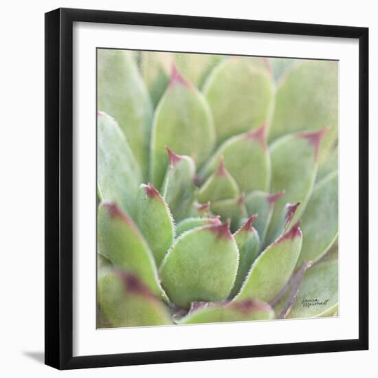 Garden Succulents I Color-Laura Marshall-Framed Premium Giclee Print