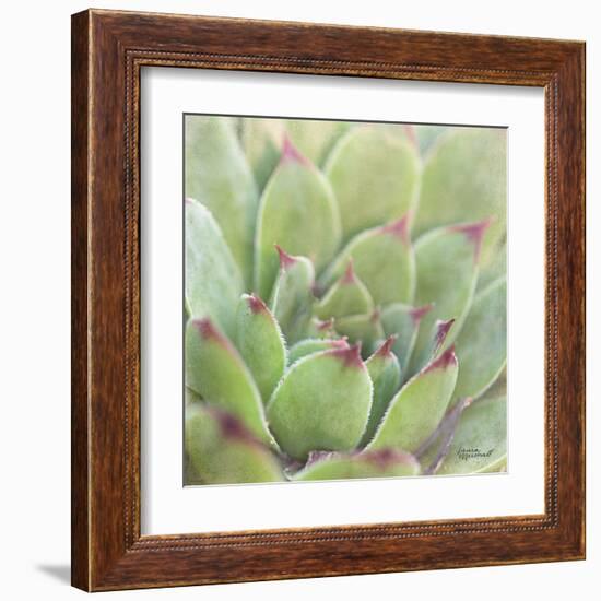 Garden Succulents I Color-Laura Marshall-Framed Art Print